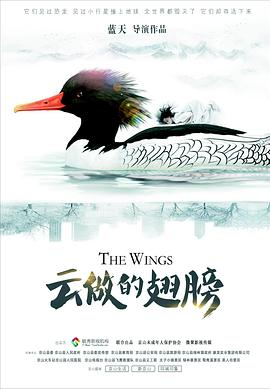 蓝天导演电视剧云做的翅膀