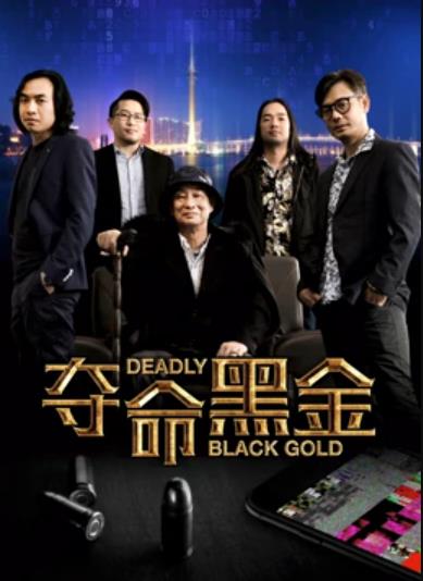 汤嘉俊导演电视剧夺命黑金
