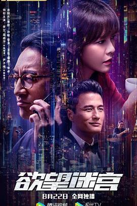 王玨导演电视剧欲望迷宫